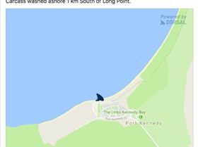 Screen Shot 2017-07-28 at 7.39.36 PM