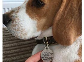 20139878 1671109179629784 2842132725975684541 n