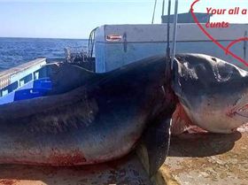 661ca8c9522adc345f0f8ec61bd729d4