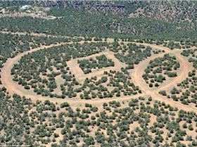 article-0-1B4CE256000005DC-21 964x638