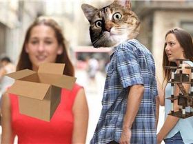 DIWAoliXgAQTuuF.jpg-large