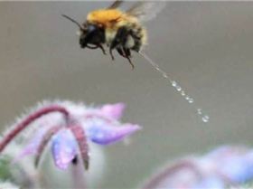 Screen Shot 2017-09-14 at 4.46.11 PM