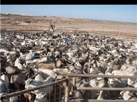 Screenshot 2014-05-10-15-58-58