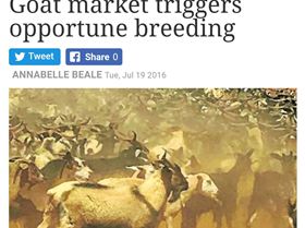 Screenshot 2017-09-30-21-44-14