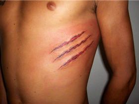 chissled serratus anterior