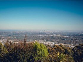 skyhigh lookout mtdandenong
