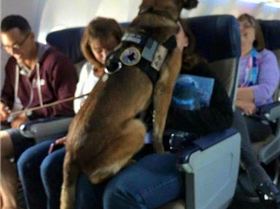 3fd911d09220f6050a70cf0437b851fa