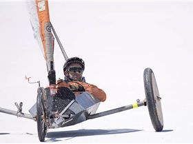 22852004 10208189695778958 4134696953037411378 n