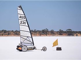 22885762 10208189695338947 257187355525286363 n