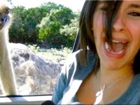 image hilarious - Google Search