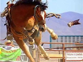 22815468 487943241590047 6883325984454258036 n