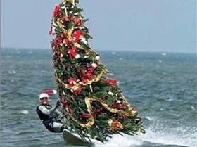 Screen Shot 2017-12-23 at 1.15.33 PM