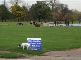 collegehumor.f5ff9550b5228b2187cd40598ea9716f