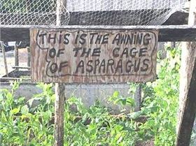 30412214 2470487936313978 4798850535589412864 n