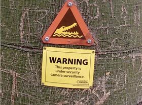 thumb IMG 20180422 113702437 1024 2