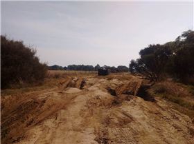 31890386 10215818144067881 5357935117228572672 n