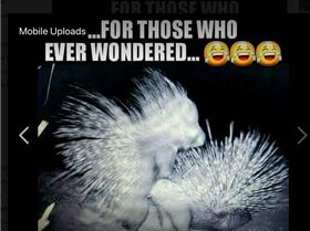 Screen Shot 2018-06-24 at 20.02.56