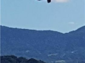 Kitesurf Warilla windang