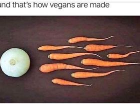 37191535 1859930017379120 4683502896728244224 n