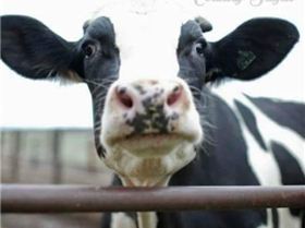 FB IMG 1534384376562