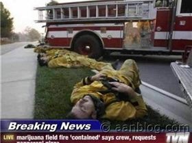 Breaking-News-in-America