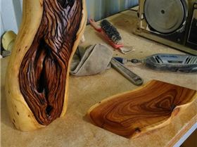 35648066 1739136552839840 1680199559906590720 n