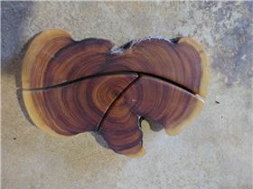 35724625 1741035869316575 2675903099448590336 n