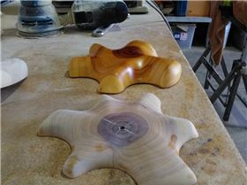 35779248 1739137669506395 7570697496419106816 n