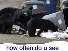 FB IMG 1536391664540