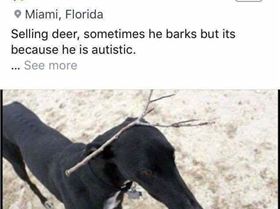 FB IMG 1538052064818