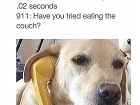 FB IMG 1539326589069