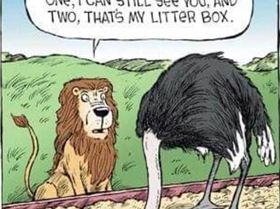 Screen Shot 2018-10-17 at 10.48.49