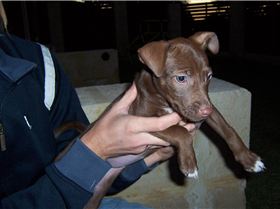 Gnarlee, our first night together