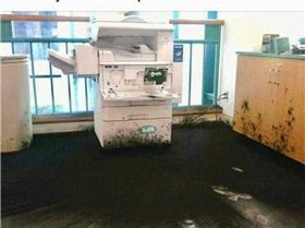 FB IMG 1541540440808