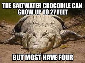 FB IMG 1542064202941