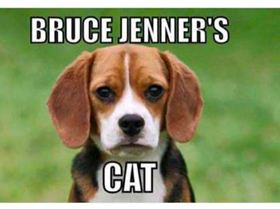 Screen Shot 2018-10-16 at 11.22.26 am