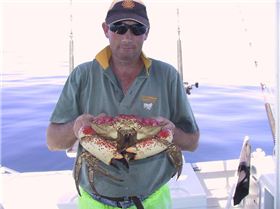 just something to do in tassie