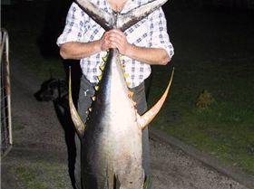 just something to do in tassie