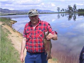 just something to do in tassie