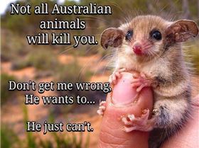 46312612 2904743182872719 7195050134768451584 n