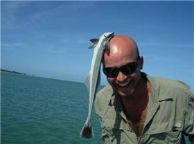 a remora with a wierd growth