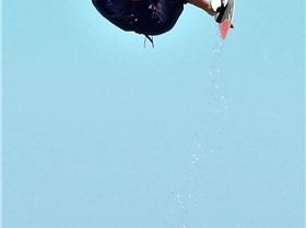 Kitesurf Warilla windang