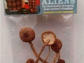 FB IMG 1545909796319