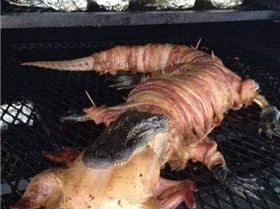 FB IMG 1546340139871