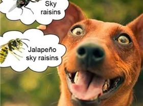 Screenshot 2019-01-02 at 09.59.42