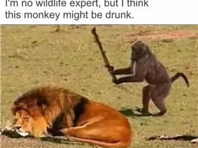 FB IMG 1546661732939