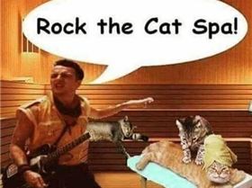 FB IMG 1547117921958