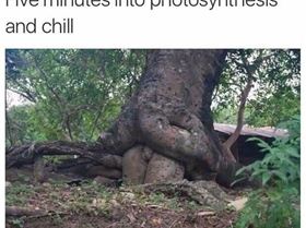 FB IMG 1547097206048