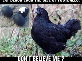 FB IMG 1547382957747