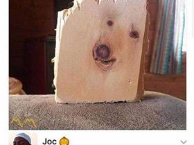 FB IMG 1547385596226